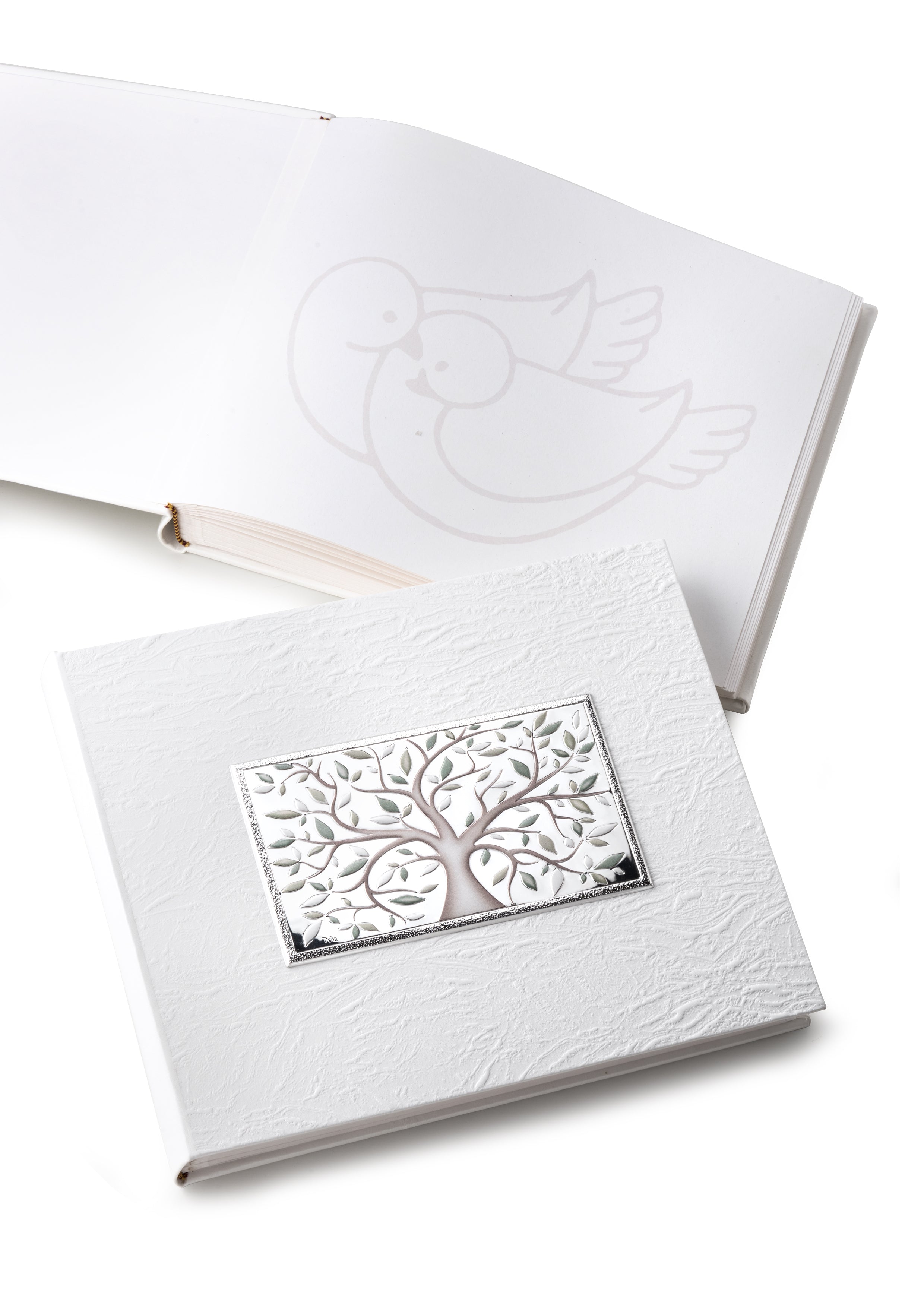 Album Camilletti 452670