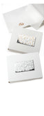 Album Camilletti 452673